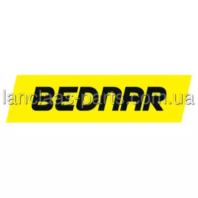 Лапа стрільчата KM060173