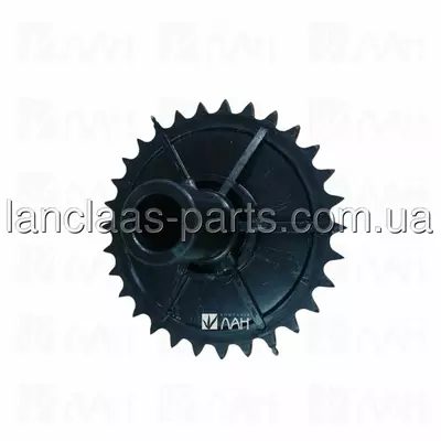 1241100 / Зірочка